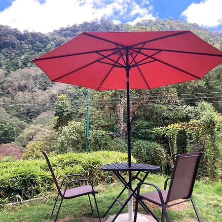 Los Lagos Lodge San Gerardo de Dota Exteriér fotografie