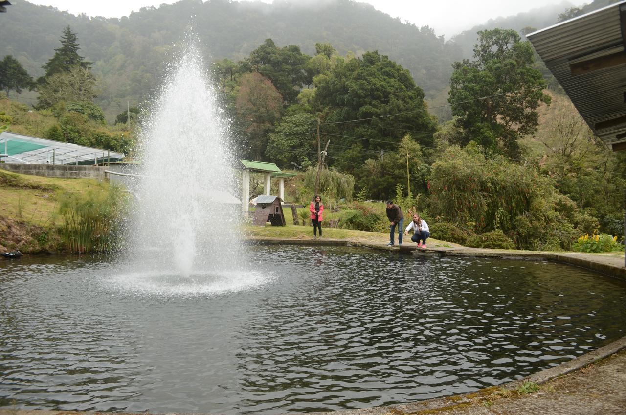 Los Lagos Lodge San Gerardo de Dota Exteriér fotografie