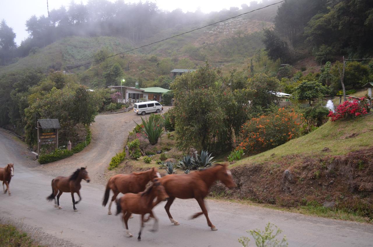 Los Lagos Lodge San Gerardo de Dota Exteriér fotografie