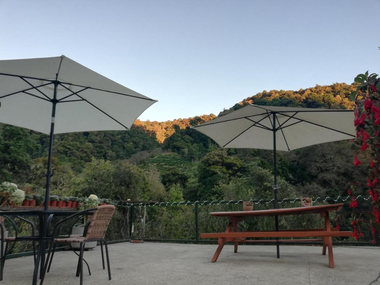 Los Lagos Lodge San Gerardo de Dota Exteriér fotografie